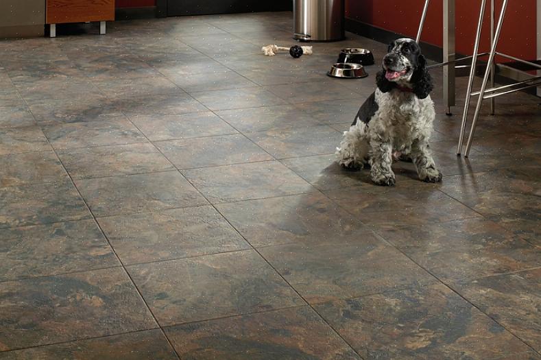 For kæledyrsejere tilbyder linoleum køkkengulve mange af de resistente kvaliteter af vinylgulve