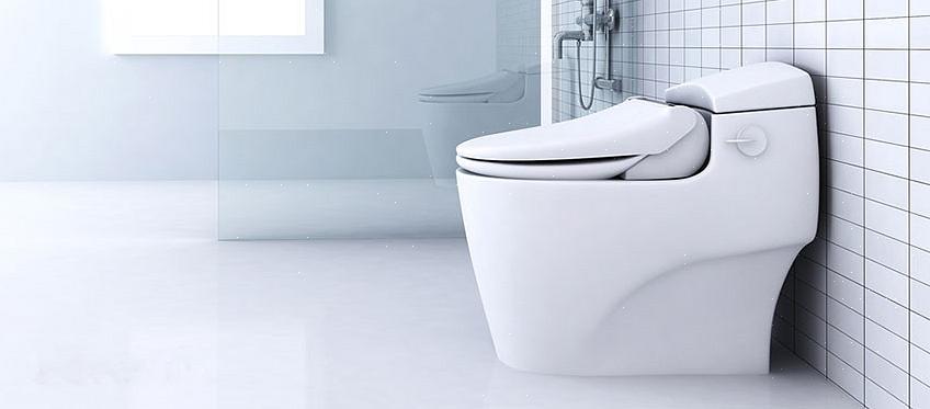 Tænk på bidet toiletsæde som et kompromis mellem et lodret spraybidet