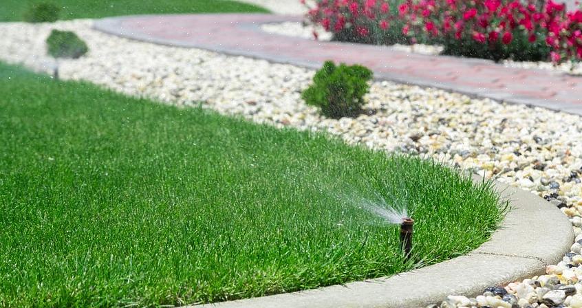 Når der er stående vand eller lækker vand ved sprinkleren længst væk fra sprinklerzoneventilerne