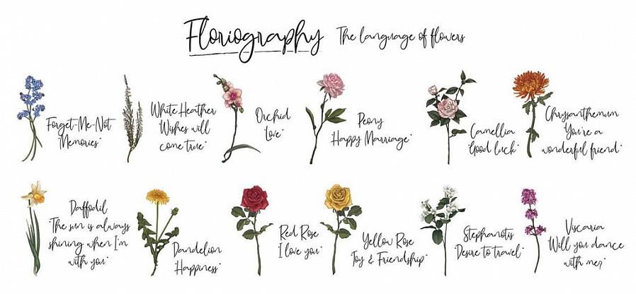 Blomster siger meget mere