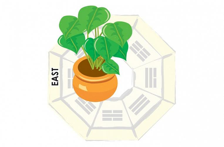 Den mystiske knude er et af de mest anvendte symboler i feng shui