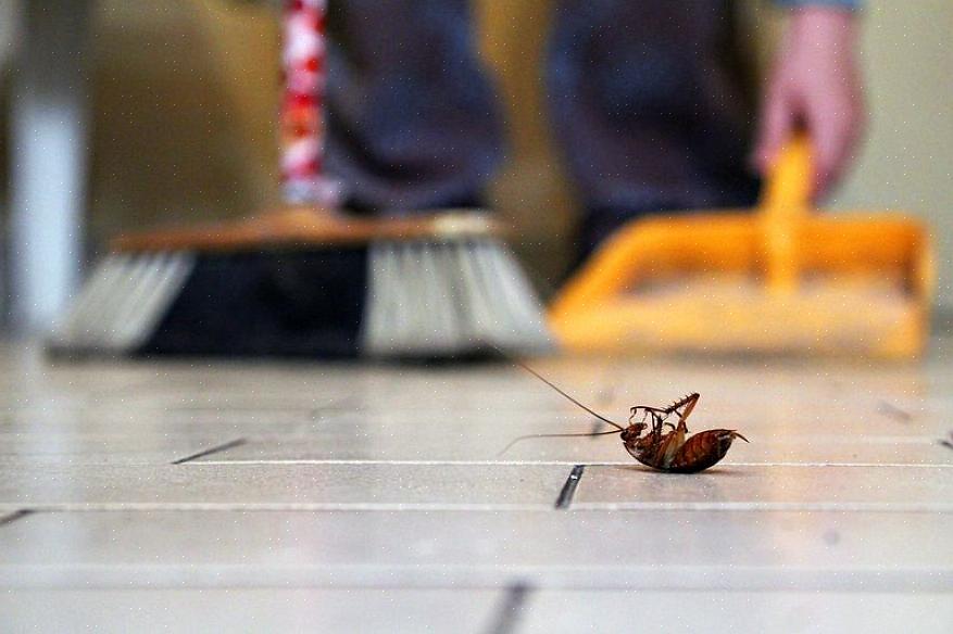Skadedyrsbekæmpelse er oftest forbundet med kemisk bekæmpelse med pesticider eller ikke-kemisk bekæmpelse