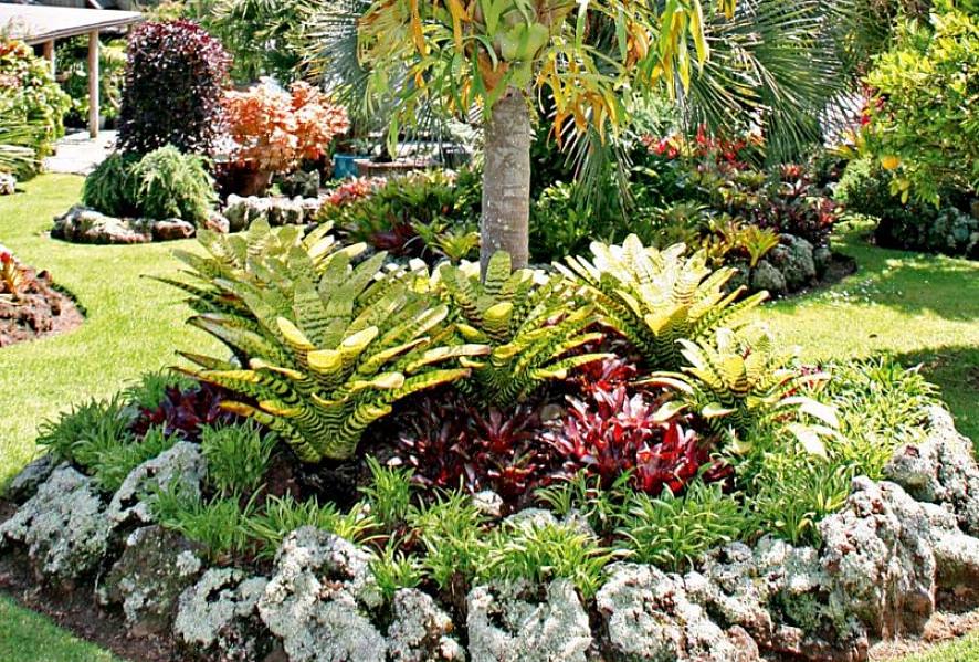 Tommelfingerreglen for den praktiske side af designet af dit eget landskab er at gruppere planter