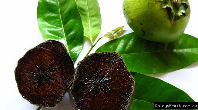 Jeg har haft lykken med at prøve en sort sapote