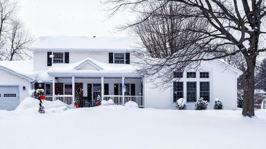 At dine planter overlever en kold vinter