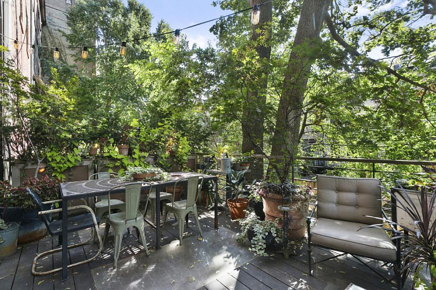 Flo's Gardens er kendt omkring Brooklyn for deres smukke vindueskasser