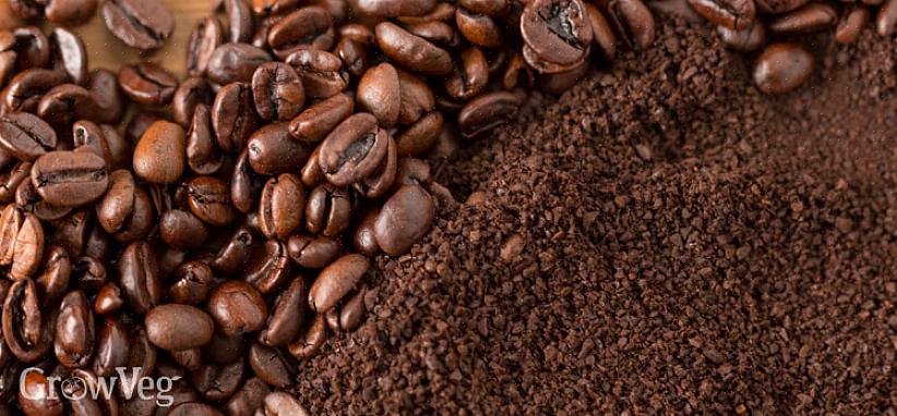 Brugte papirkaffefiltre til din kompost giver grønt kompostmateriale