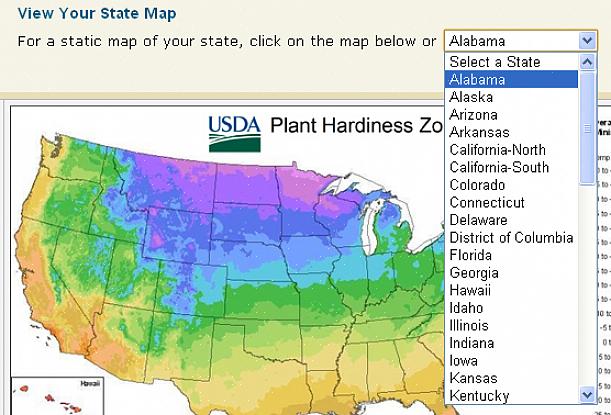 Arizona USDA hårdhedszonekort