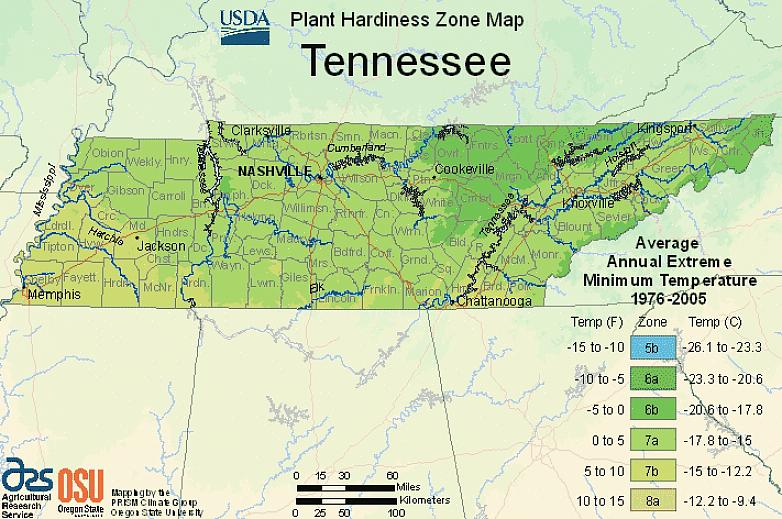 USDA plantehårdhedszoner bestemmes af den gennemsnitlige årlige minimum vintertemperatur