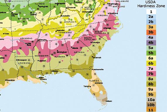 Florida USDA hårdhedszoner
