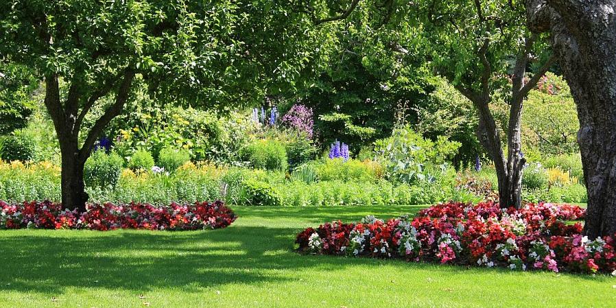 At det eneste der blomstrer i skyggen er Impatiens