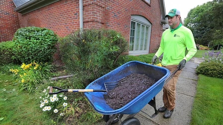 Om farvet barkflis (også kaldet "farvet barkflis") er sikkert at håndtere