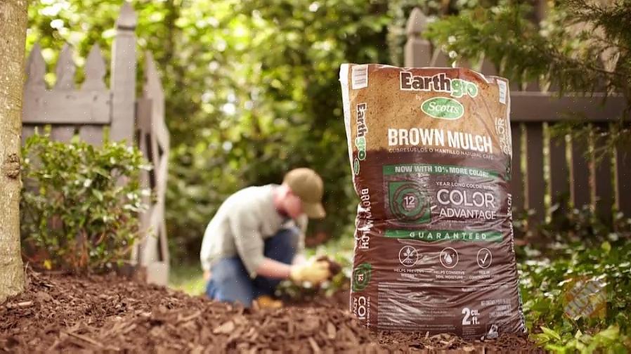 Selv med et produkt så almindeligt som barkflis har du nu et valg af farver takket være fænomenet "farvet"