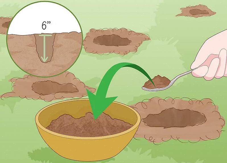 De fleste planter kan tilpasse sig jordens pH