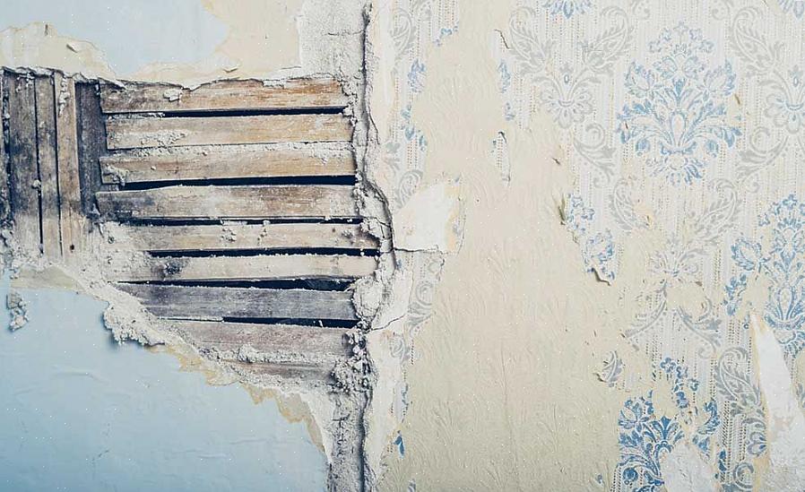 Så de bryder overfladen af wallboardets papirflade