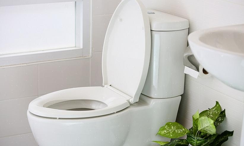 Som et trykassistenttoilet har vakuumassistenttoilettet en indre vandtank