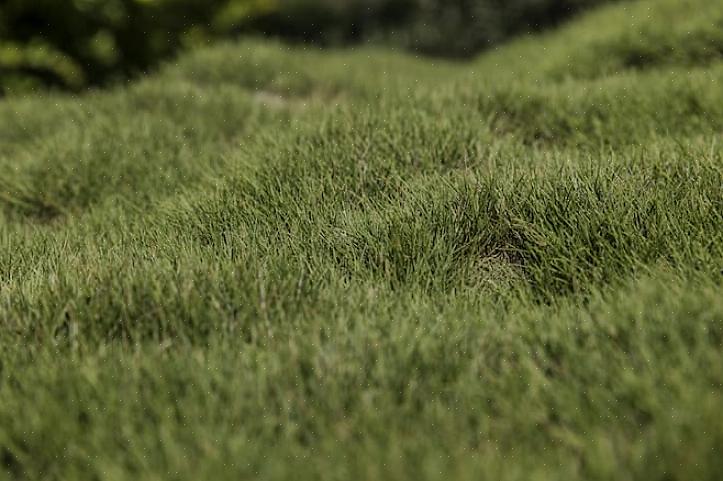 I de mindst ekstreme tilfælde kan du løse problemet ved topdressing med et tyndt lag nivelleringsblanding