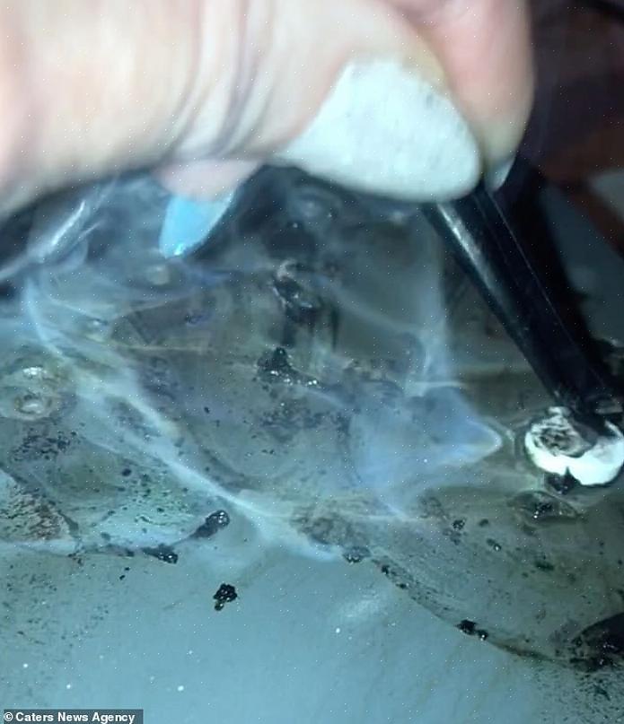 Sådan afblokeres et dampstrygejern