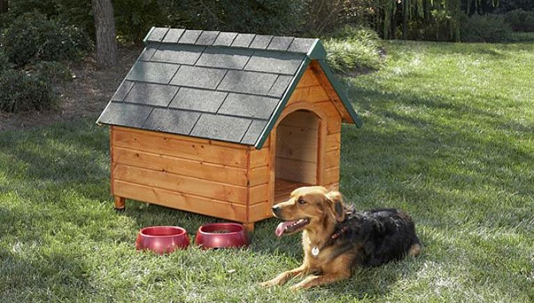 Bagpaneler efterligner dette hundehus et klassisk hjem i kolonistil