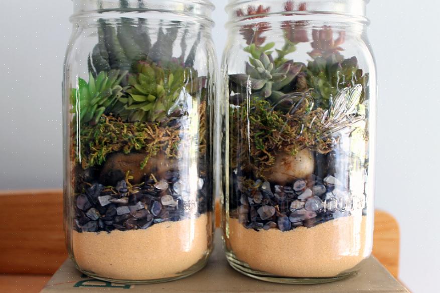 Murer jar terrarier er gode gaver til lærere