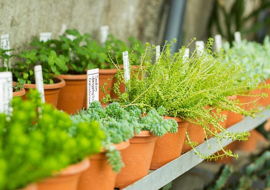 For at tilføje jord til blomsterposen skal du holde den tomme blomsterpose lodret