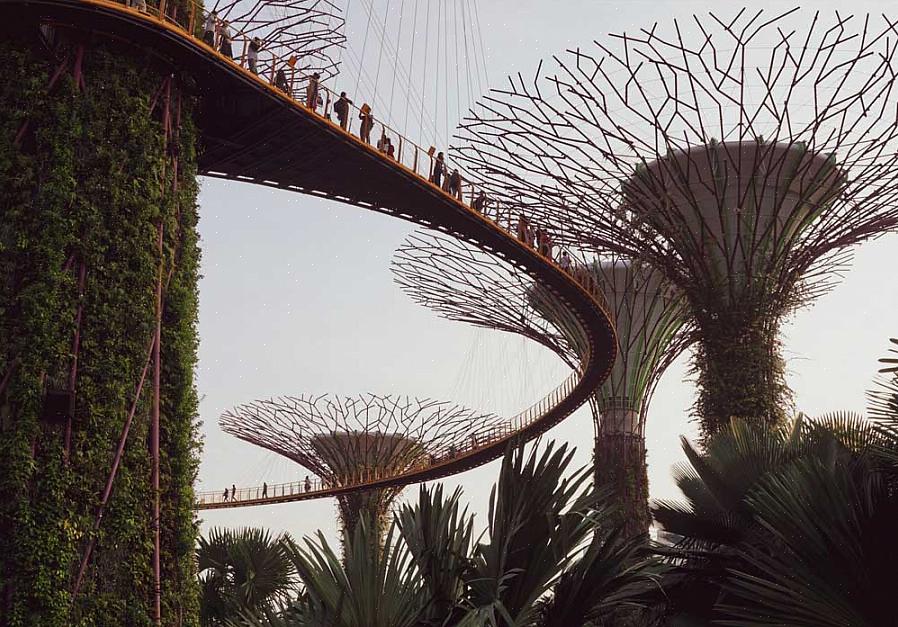 Landskabsdesign er kunsten at arrangere eller ændre funktionerne i en have