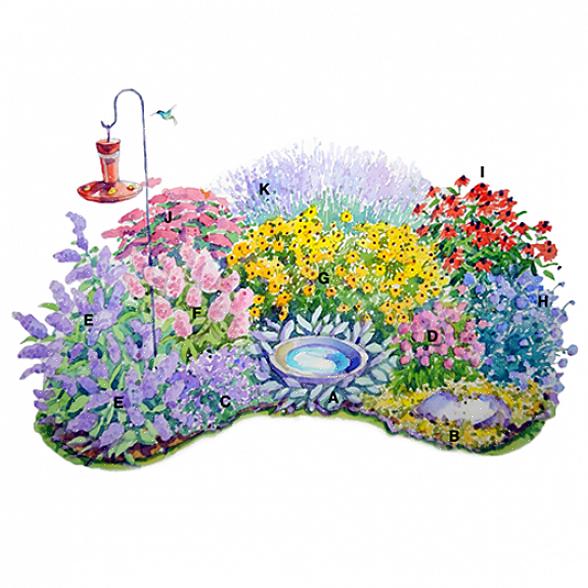 Gentag blomstrer