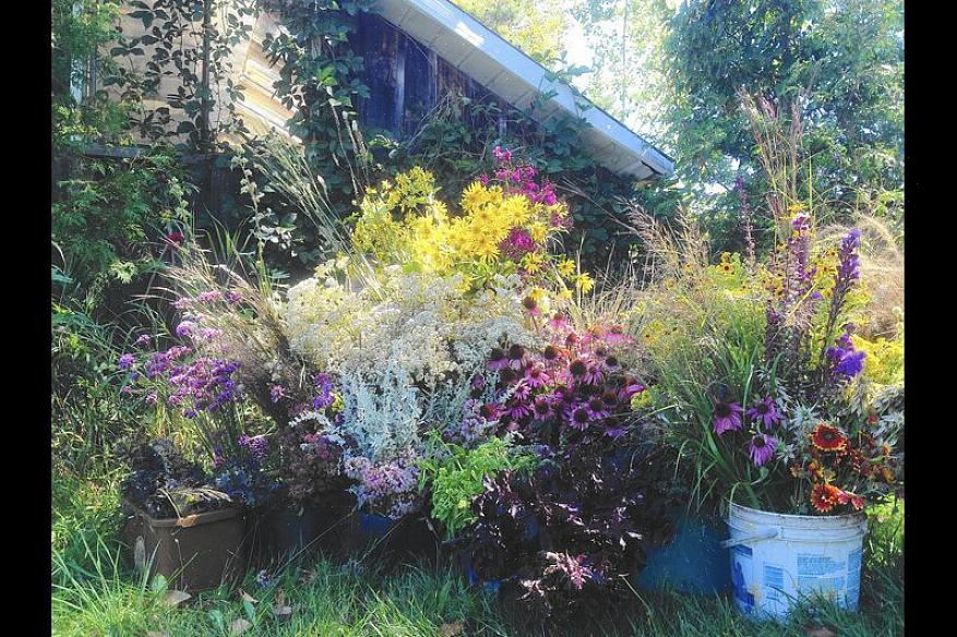 Lær hvordan du nedbryder plejen af en stor blomsterhave til håndterbare opgaver