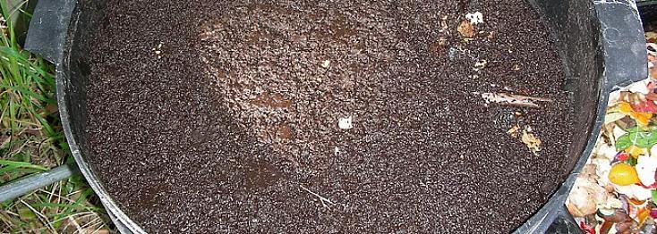 Forhåbentlig er du blevet belønnet med en dejlig afgrøde af vermicompost eller vermicastings