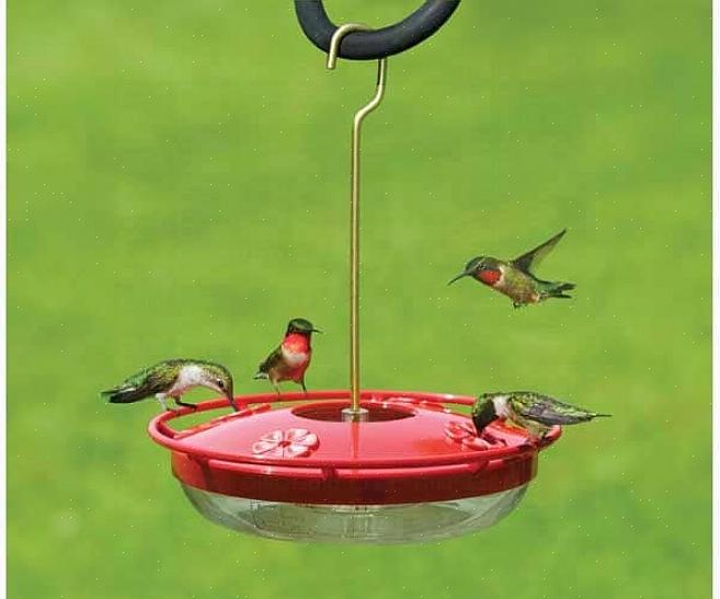 Når en feeder lækker