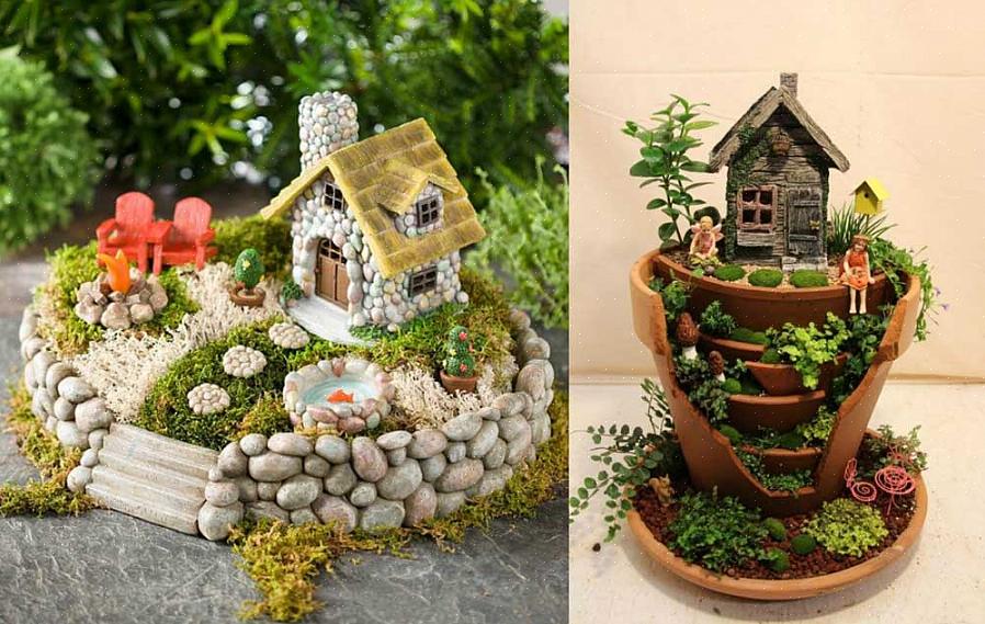 Skal du vælge blomstrende stueplanter