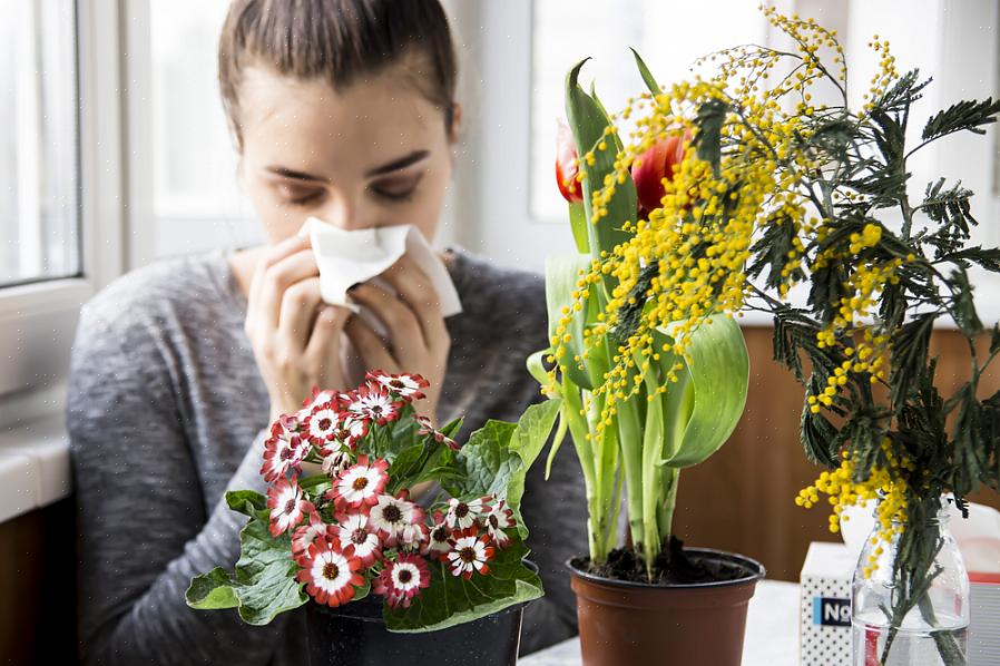 Disse er bestemt ikke de eneste blomster