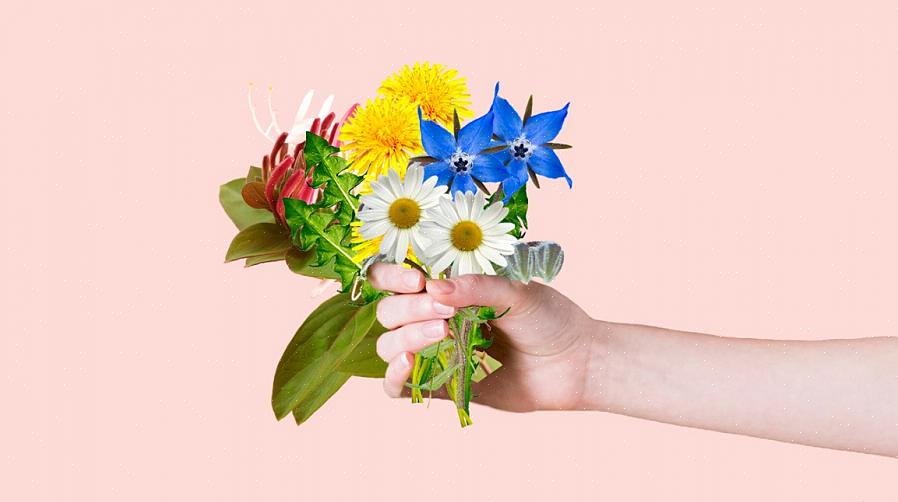 Giver dyrkning af dine egne spiselige blomster endnu mere mening