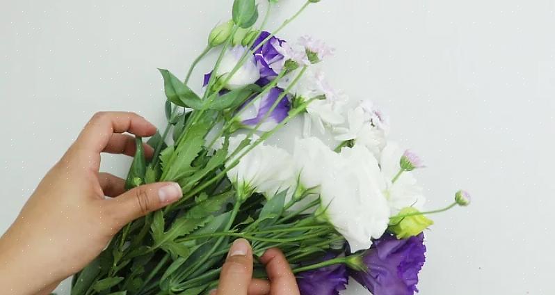 Blomster med højt vandindhold