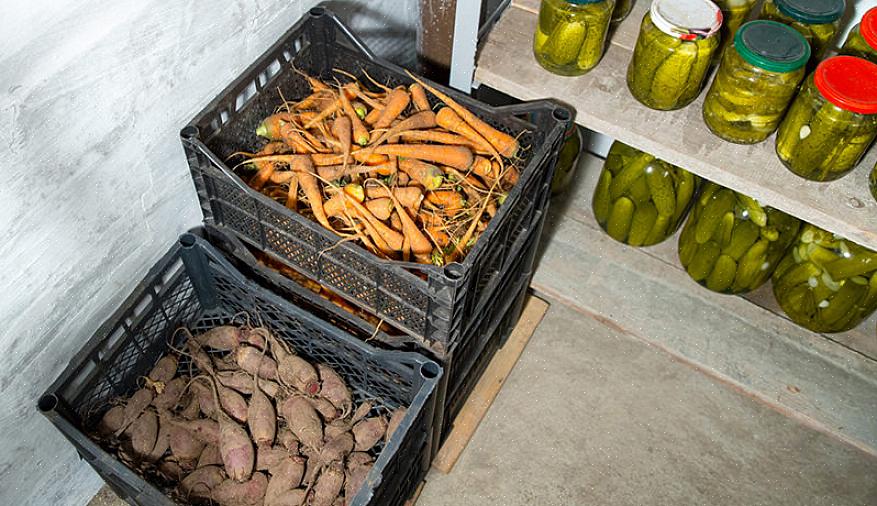 Vinter squash og græskar - Sørg for