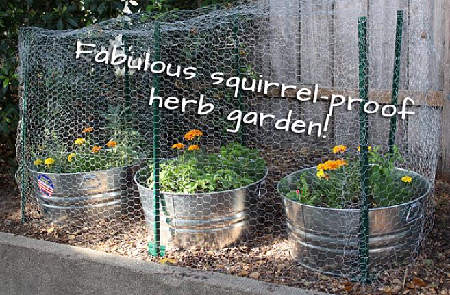 Egern nyder mange af de samme planter