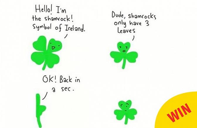 Tanken om irske shamrocks fremkalder visioner om det grønne landskab på Emerald Isle lige så sikkert