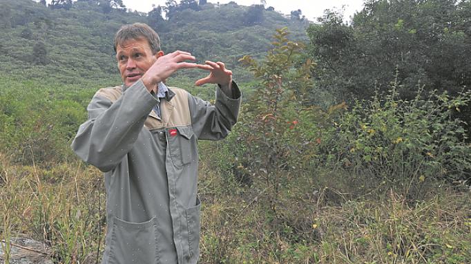 Den "bedste" måde at slippe af med en invasiv plante afhænger til dels af dine præferencer