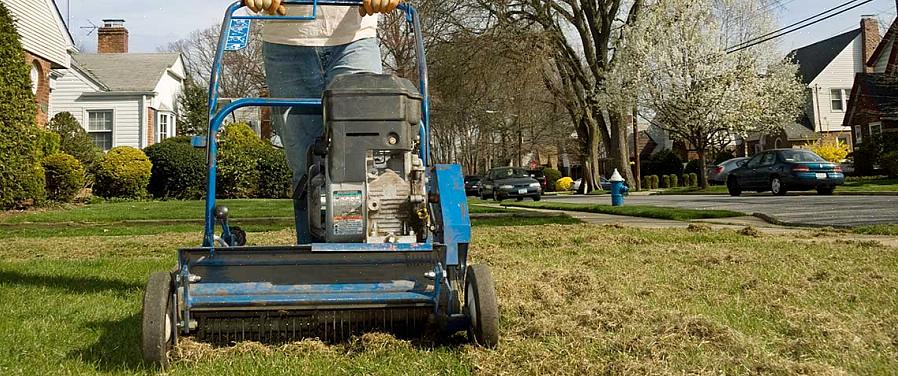 "Dethatching" græsplæner henviser til den mekaniske fjernelse fra en græsplæne af laget af dødt græsgræsvæv
