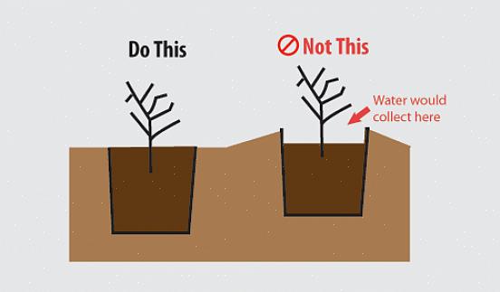 Planter