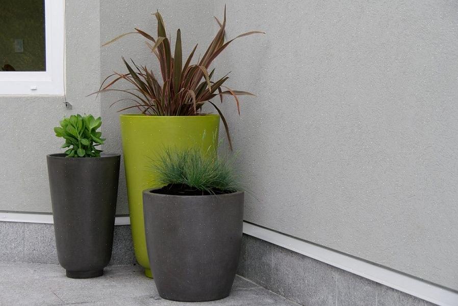 Men farveekkoene gør dem til et sammenhængende design