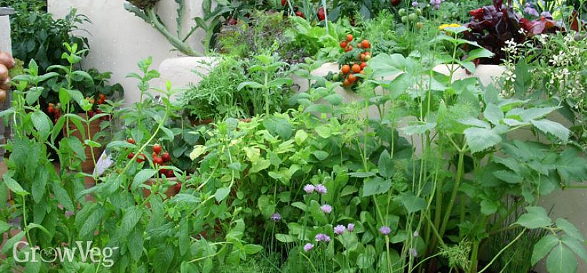Om du vil plante en traditionel have med kun et par Permaculture-designfunktioner smidt ind