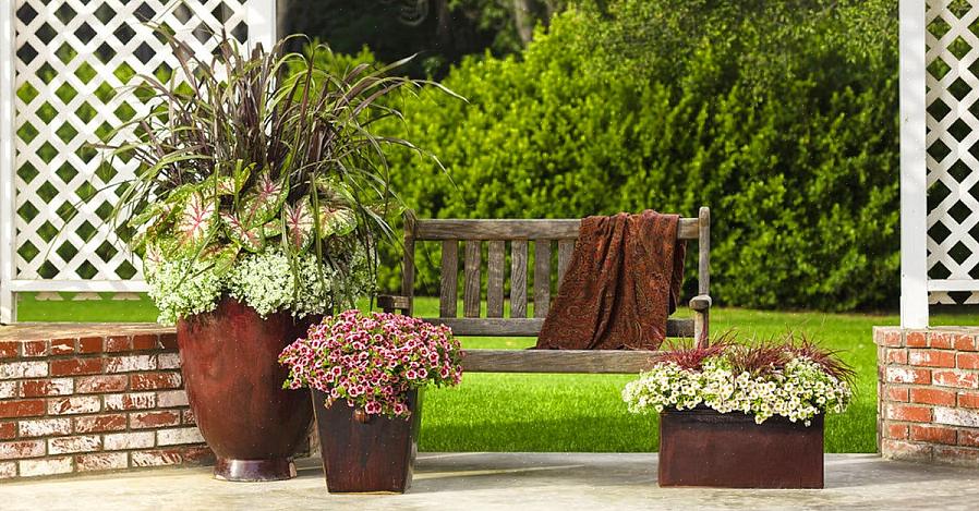 Dine efterfølgende "spiller" planter
