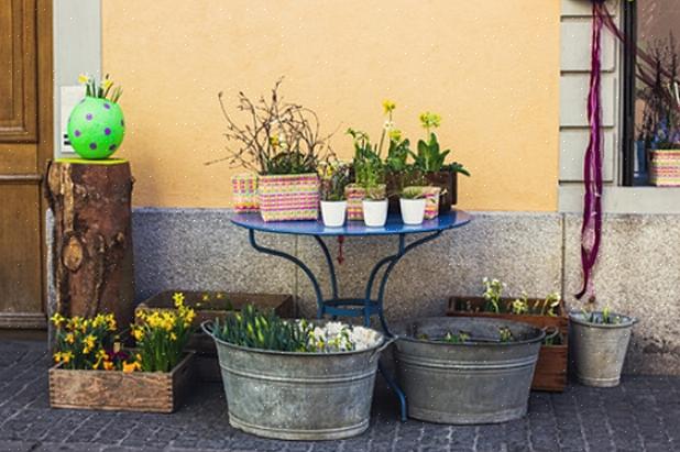 Skal du løfte din potteplante fra jorden