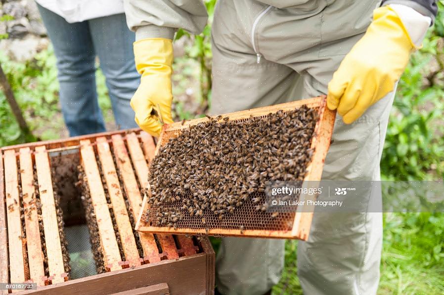 Hvis der er voks eller propolis på det indvendige dæksel
