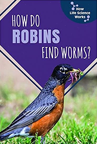 Orme er den ideelle mad til altædende fugle som robins
