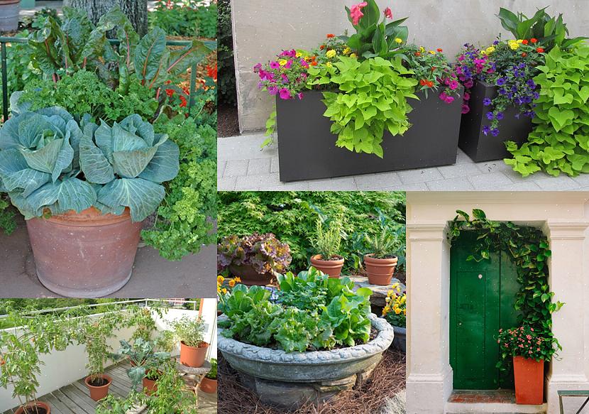 Hvis der er planter